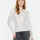 Andam Silver-52 Jersey